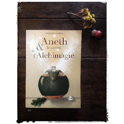 Aneth & le secret de l'Alchimagie - Roman jeunesse